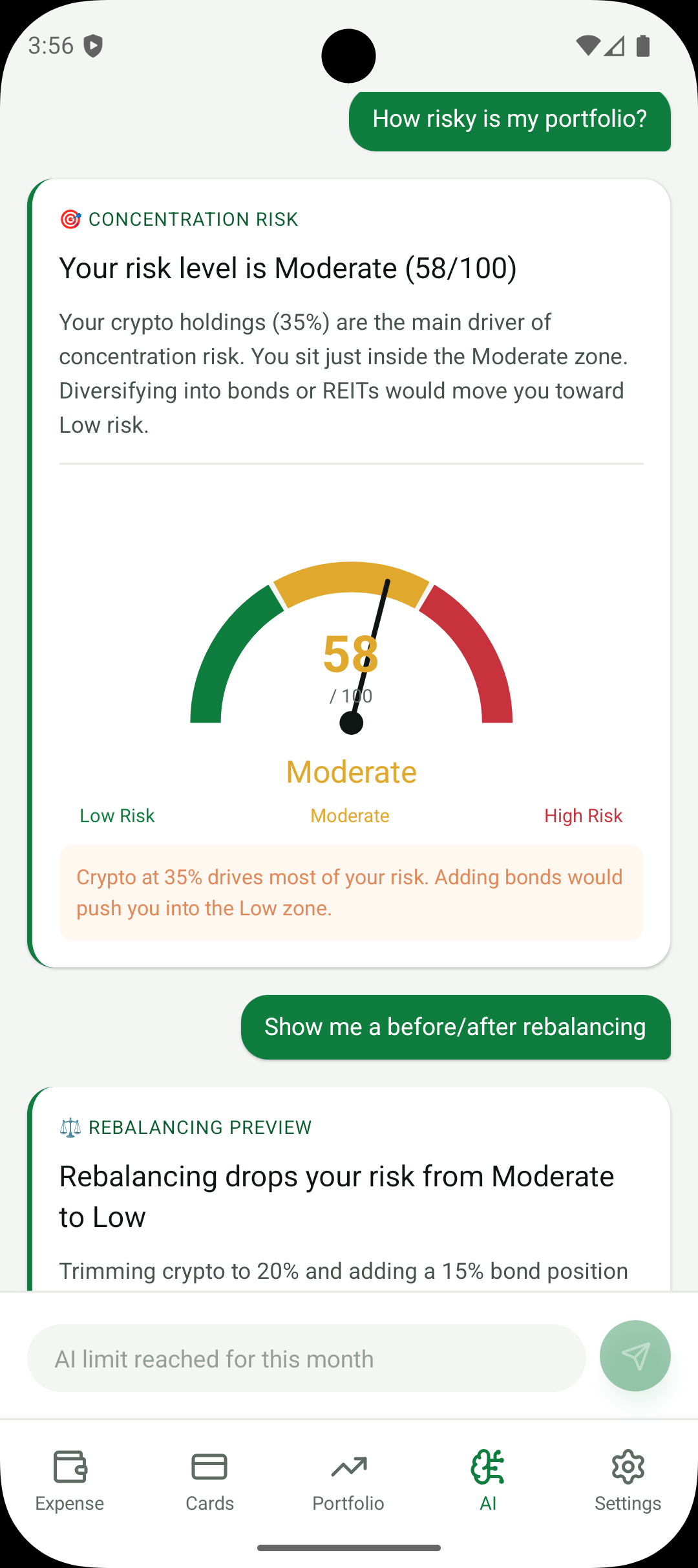 Finchie AI concentration risk gauge showing moderate 58/100 score